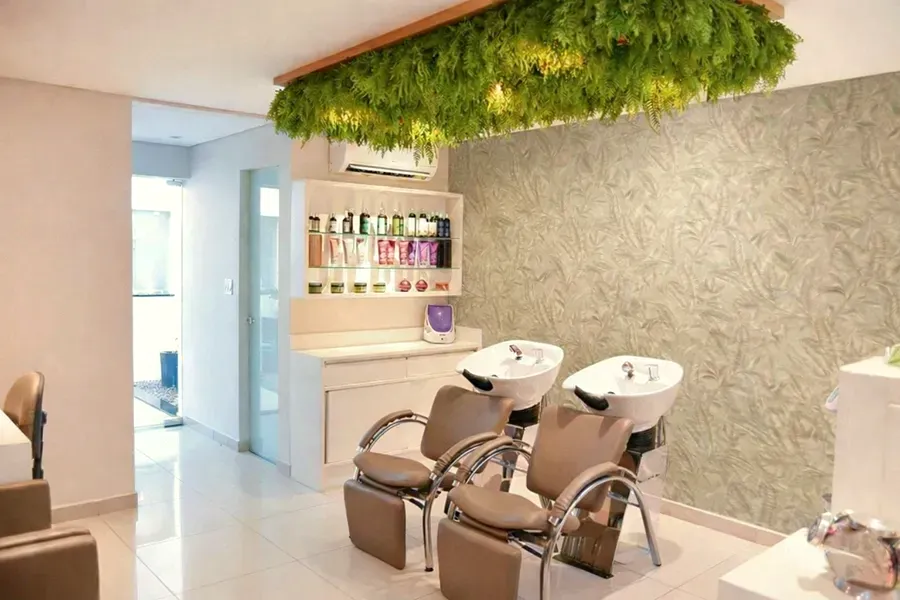 Spa Capilar